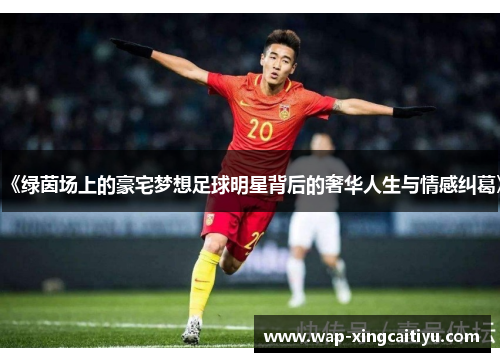 《绿茵场上的豪宅梦想足球明星背后的奢华人生与情感纠葛》