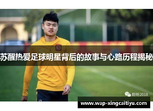 苏醒热爱足球明星背后的故事与心路历程揭秘