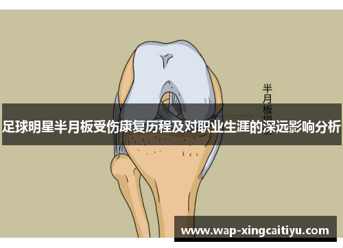 足球明星半月板受伤康复历程及对职业生涯的深远影响分析
