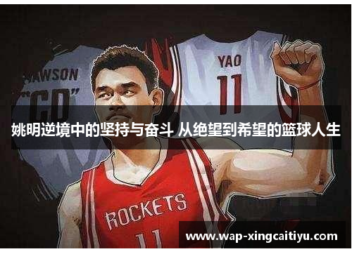 姚明逆境中的坚持与奋斗 从绝望到希望的篮球人生