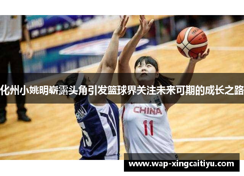化州小姚明崭露头角引发篮球界关注未来可期的成长之路