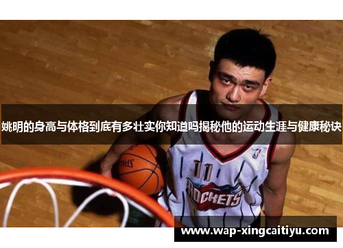 姚明的身高与体格到底有多壮实你知道吗揭秘他的运动生涯与健康秘诀